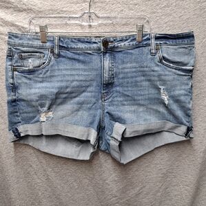 Kut from the Kloth Katy Boyfriend  shorts 3.5in inseam plus size 18W